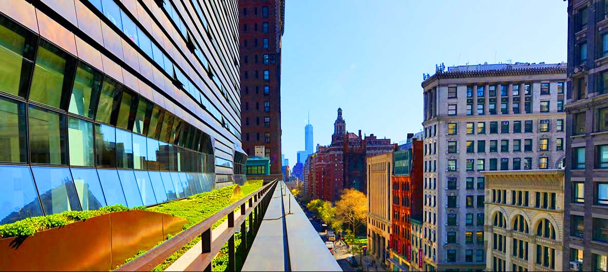 The New School 5th Avenue, Julia M. Puaschunder, Teaching Faculty at The New School New York