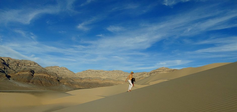 Behavioral Economics Leadership and Followership Training, Julia M. Puaschunder, New York, New York, Behavioral Followership, Desert watch