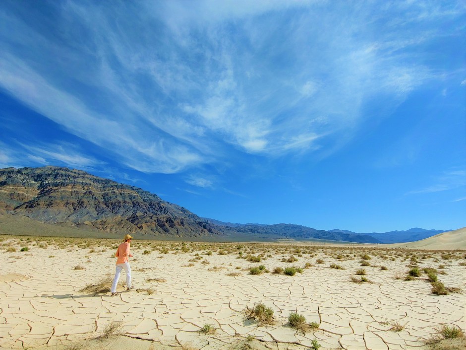 Behavioral Economics Leadership and Followership Training, Julia M. Puaschunder, New York, New York, Behavioral Followership, Desert watch