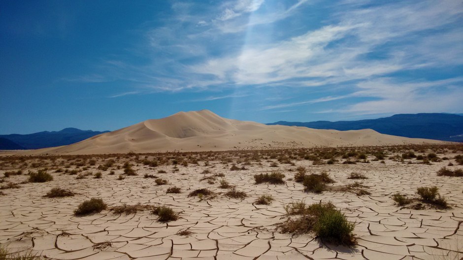 Behavioral Economics Leadership and Followership Training, Julia M. Puaschunder, New York, New York, Behavioral Followership, Desert watch