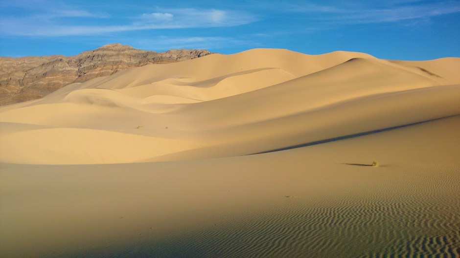 Behavioral Economics Leadership and Followership Training, Julia M. Puaschunder, New York, New York, Behavioral Followership, Desert & Singing Dunes watch