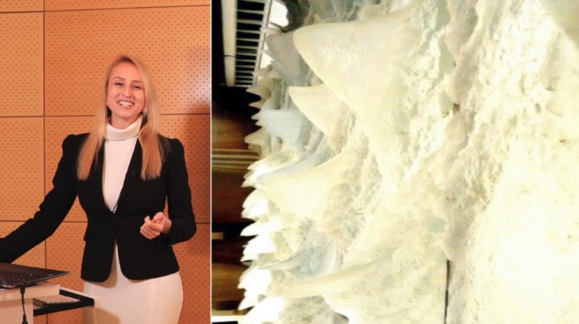 Behavioral Economics Leadership and Followership Wall Street 14 Art