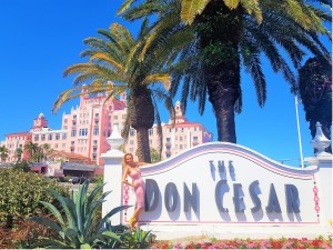 Book Launch, Behavioral Economics and Finance Leadership: Nudging and Winking to make Better Choices, 1st edition, Springer Nature, Julia M. Puaschunder, The Don Cesar, St. Petersburg, Florida, USA, 2020