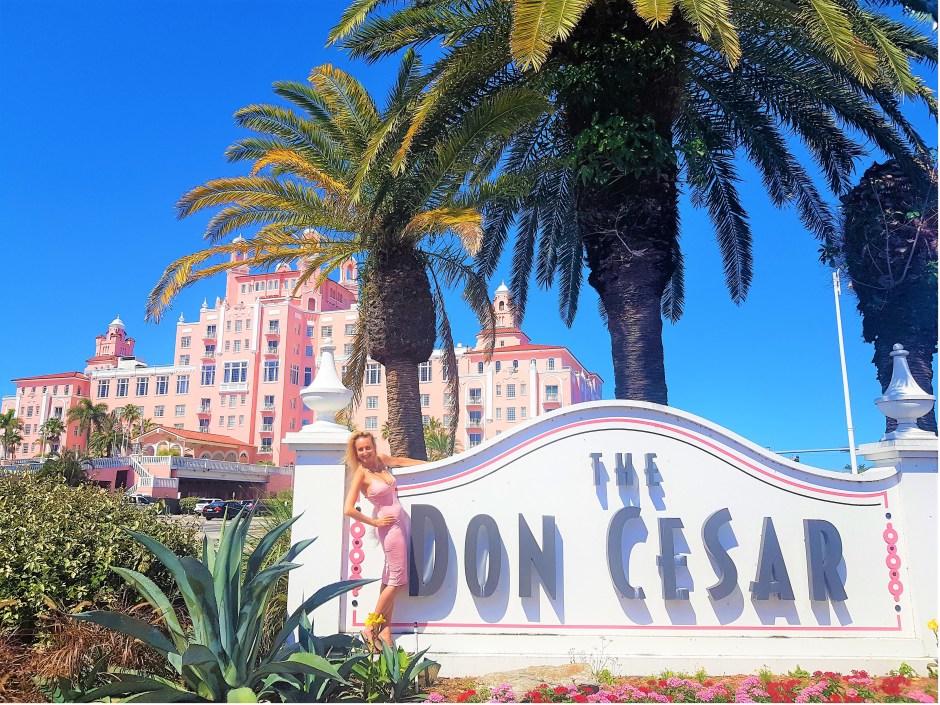 Book Launch, Behavioral Economics and Finance Leadership: Nudging and Winking to make Better Choices, 1st edition, Springer Nature, Julia M. Puaschunder, The Don Cesar, St. Petersburg, Florida, USA, 2020